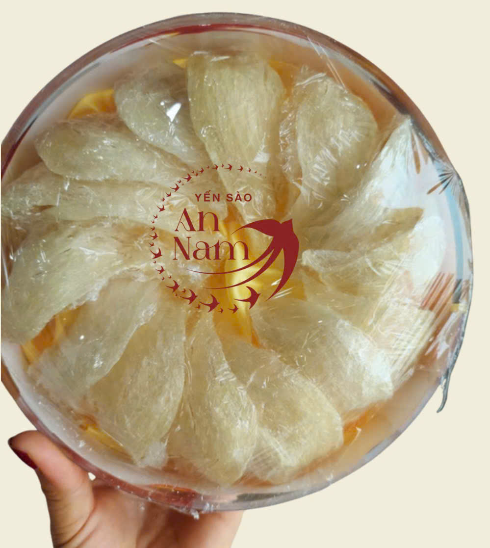 An Nam Yến Sào – Yến Sào Thượng Hạng Đậm Hồn Việt