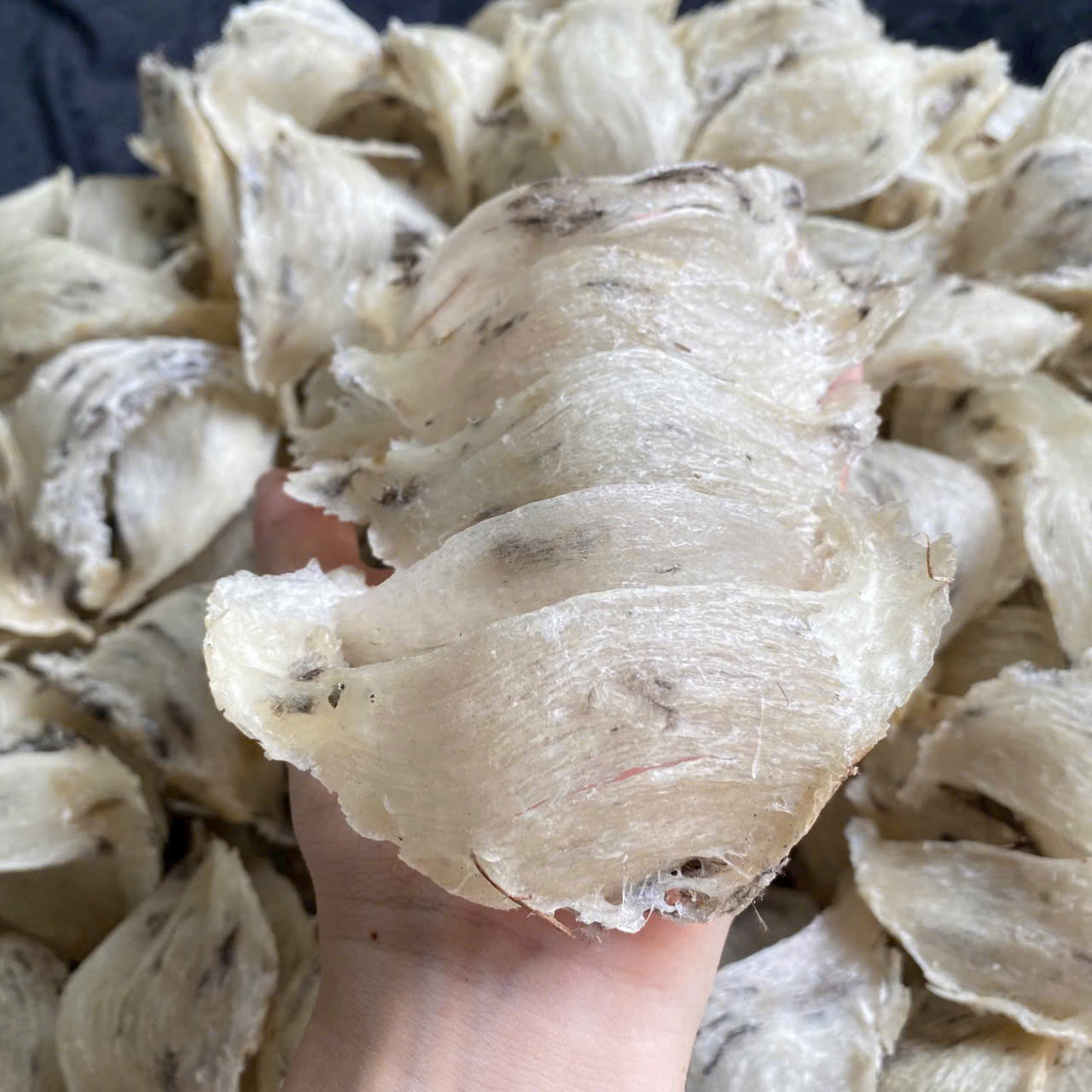 An Nam Yến Sào – Yến Sào Thượng Hạng Đậm Hồn Việt