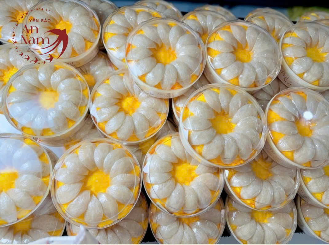 An Nam Yến Sào – Yến Sào Thượng Hạng Đậm Hồn Việt