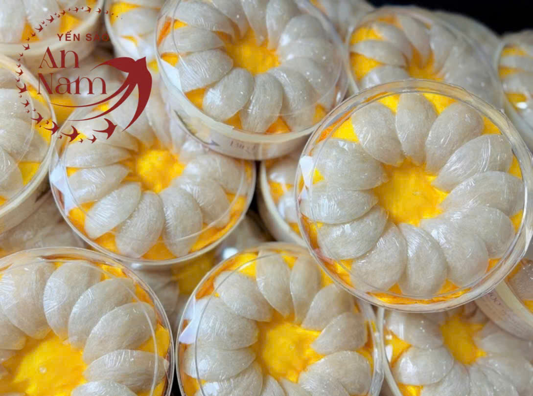 An Nam Yến Sào – Yến Sào Thượng Hạng Đậm Hồn Việt