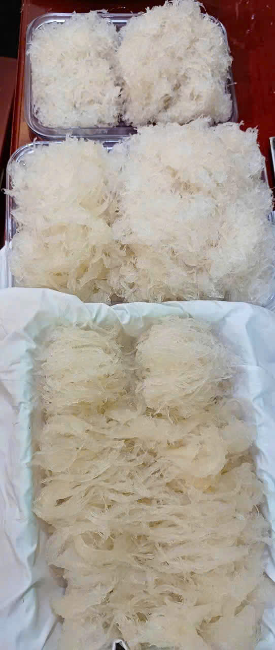 An Nam Yến Sào – Yến Sào Thượng Hạng Đậm Hồn Việt