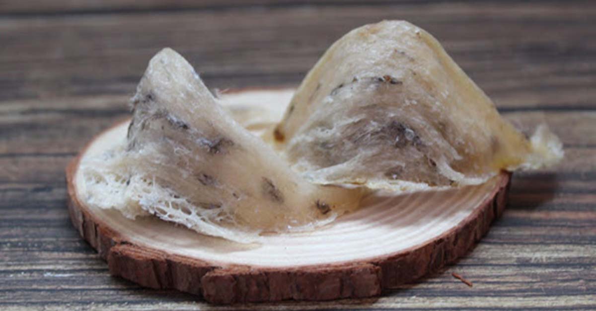 An Nam Yến Sào – Yến Sào Thượng Hạng Đậm Hồn Việt